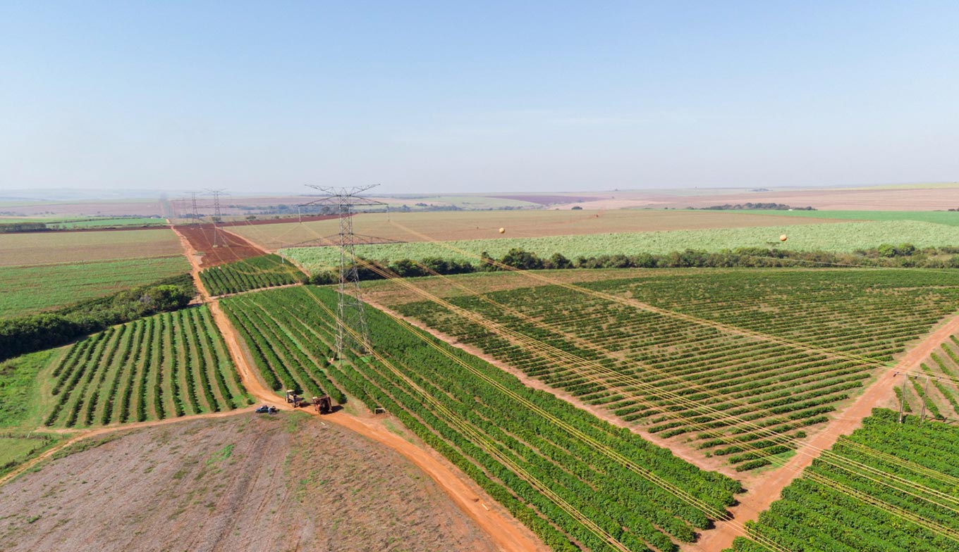 Avalúos Agropecuarios Azuela Valuadores